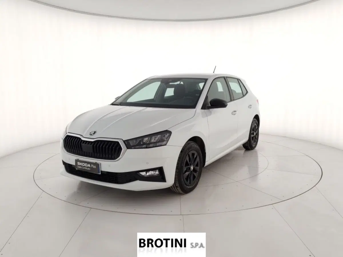 Skoda Fabia usata a Massa-Carrara