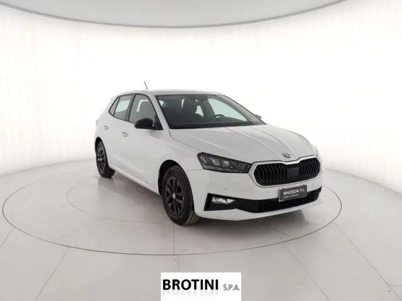 Skoda Fabia usata a Massa-Carrara (4)