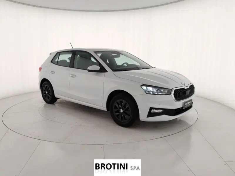 Skoda Fabia usata a Massa-Carrara (4)