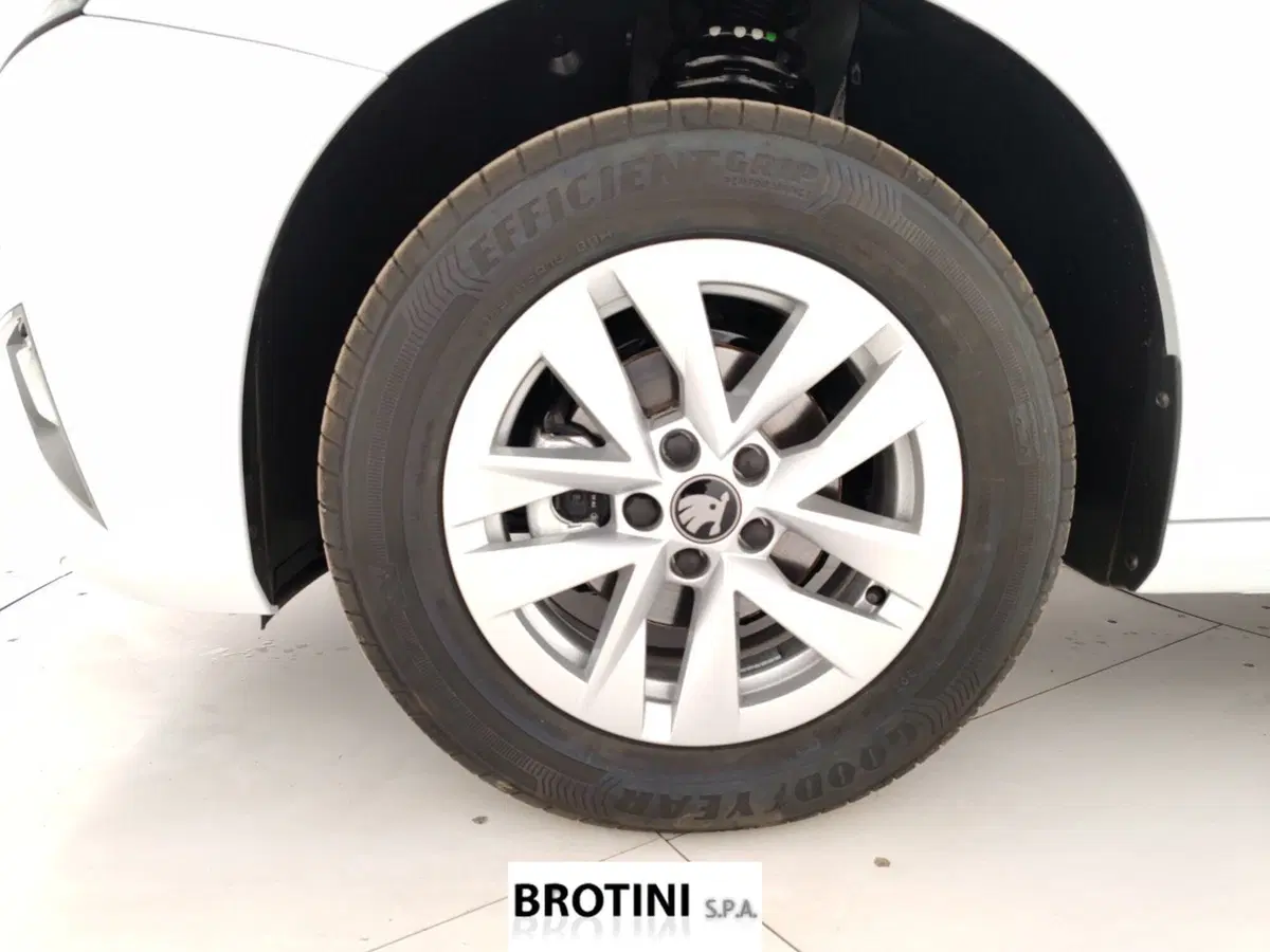 Skoda Fabia nuova a Massa-Carrara (6)