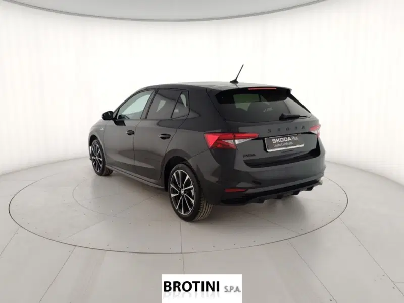 Skoda Fabia usata a Massa-Carrara (2)