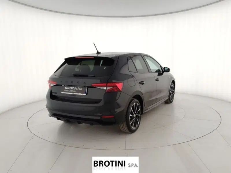 Skoda Fabia usata a Massa-Carrara (3)
