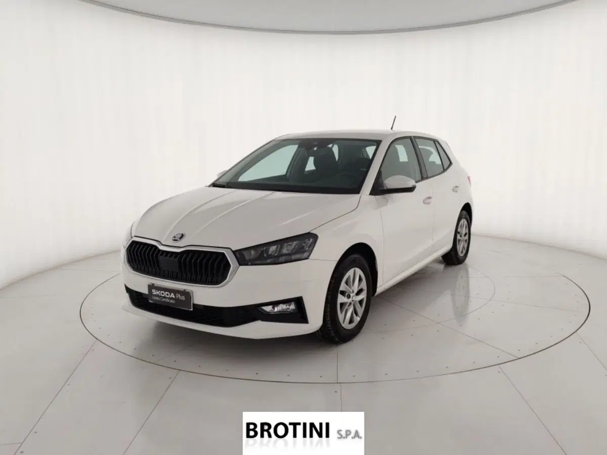 Skoda Fabia usata a Massa-Carrara