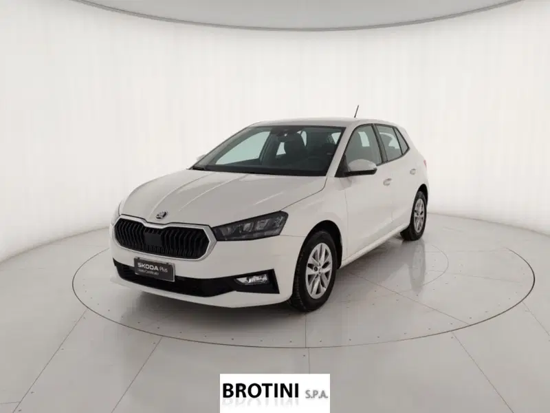 Skoda Fabia usata a Massa-Carrara