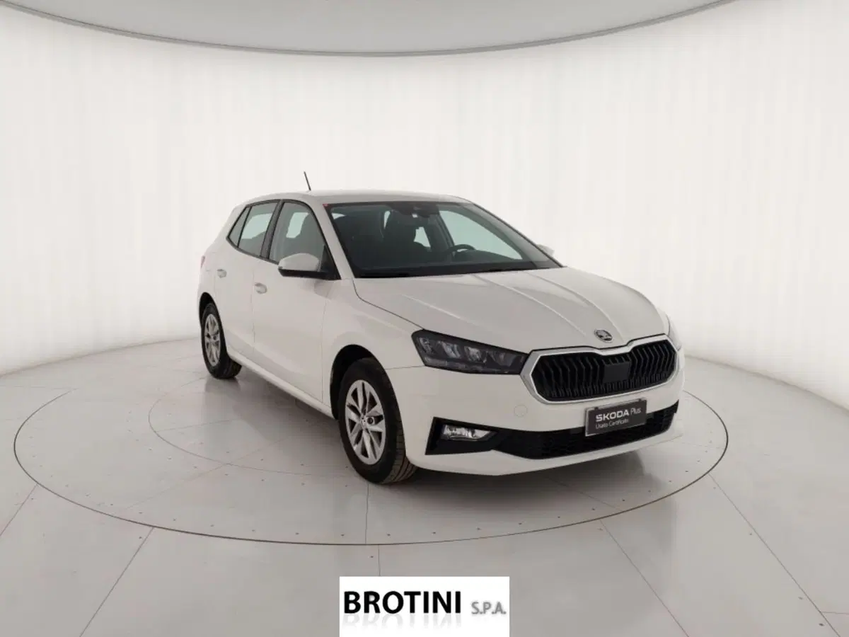 Skoda Fabia usata a Massa-Carrara (4)
