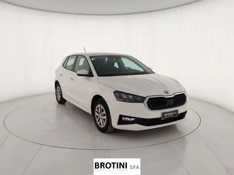 Skoda Fabia usata a Massa-Carrara (4)