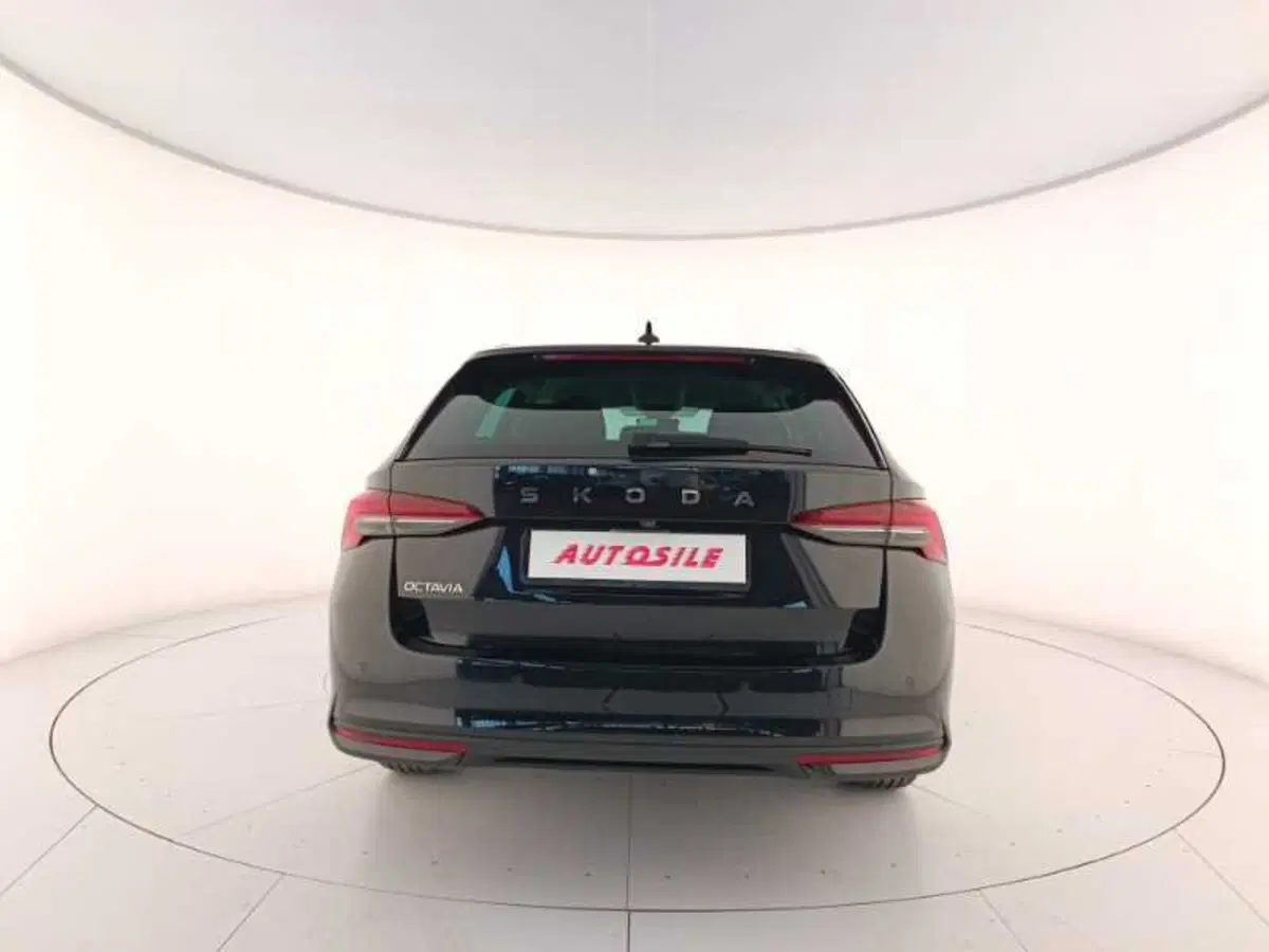 Skoda Octavia Station Wagon nuova a Treviso (5)