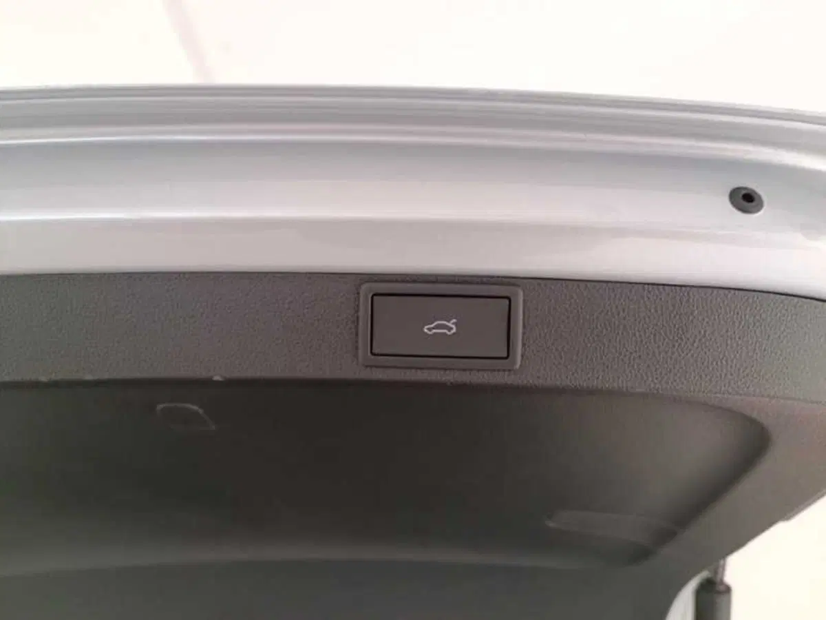 Skoda Octavia Station Wagon nuova a Treviso (20)