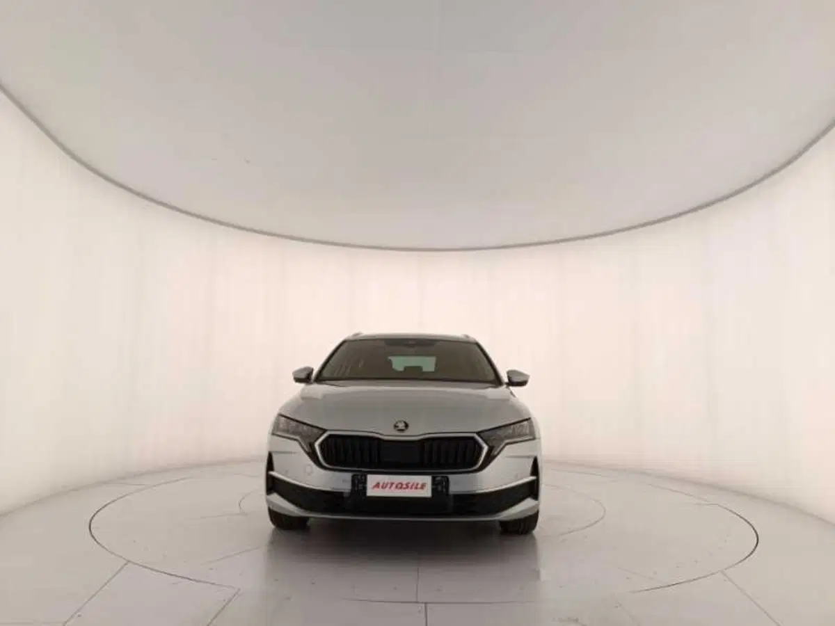 Skoda Octavia Station Wagon nuova a Treviso (2)