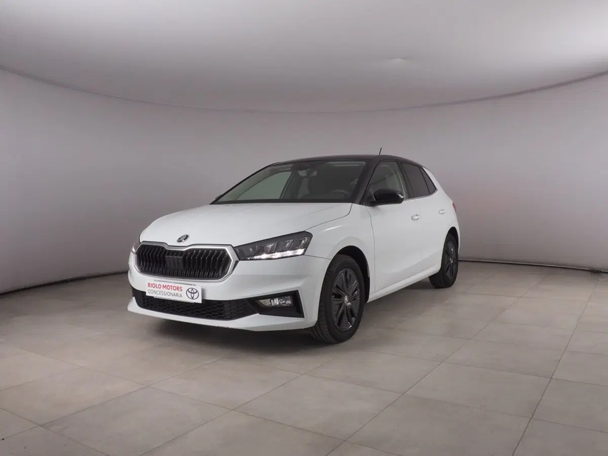 Skoda Fabia usata a Palermo