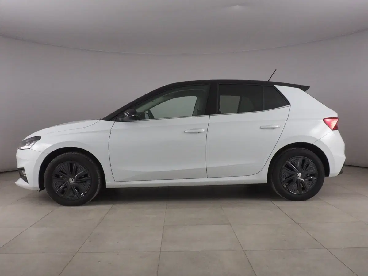 Skoda Fabia usata a Palermo (2)