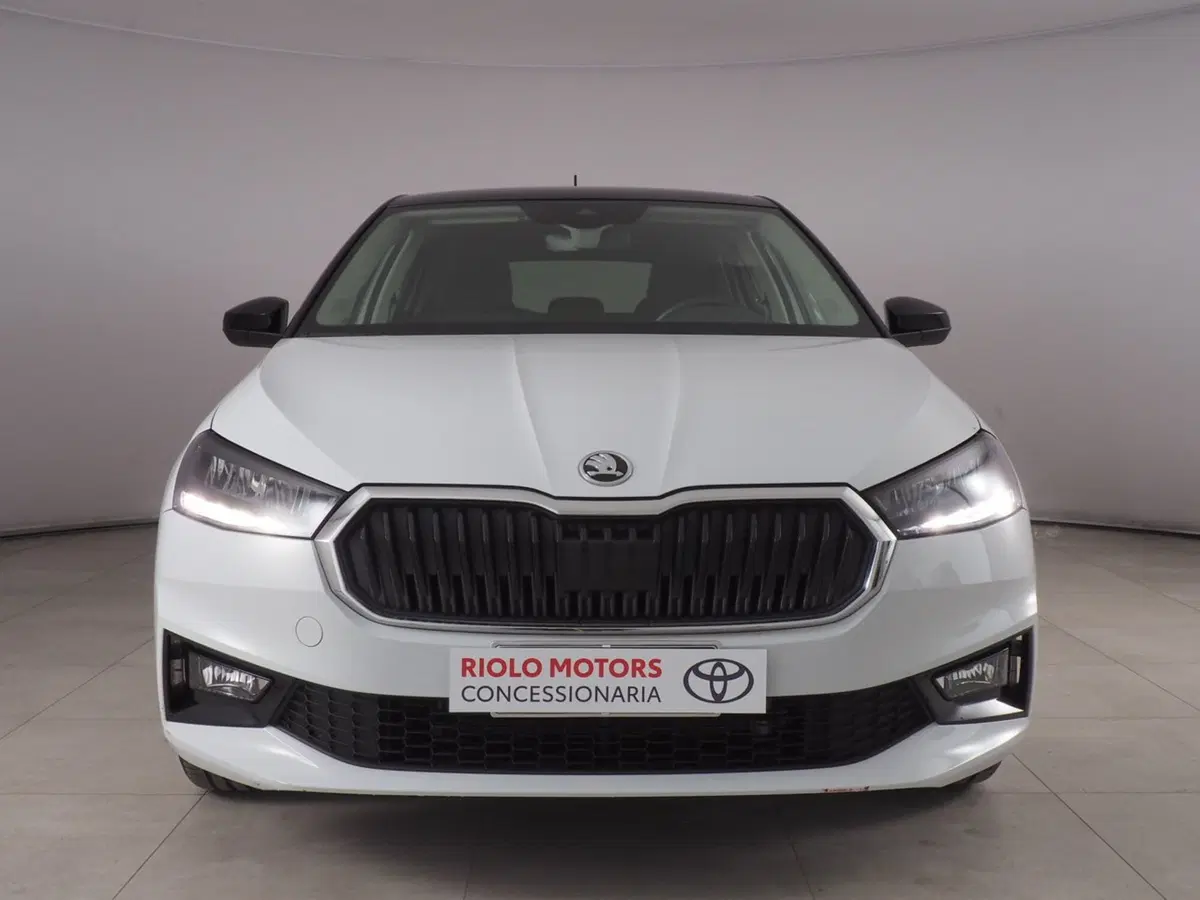 Skoda Fabia usata a Palermo (4)