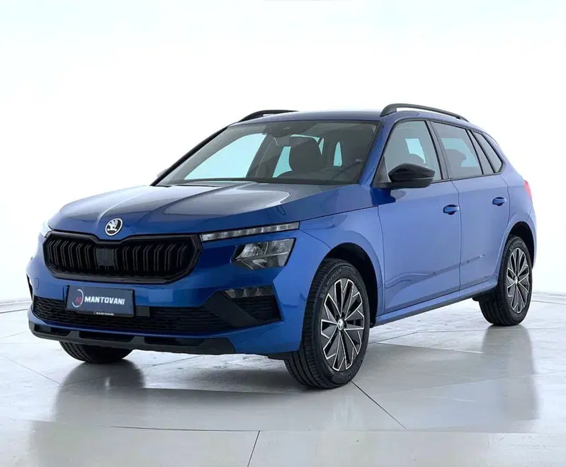 Skoda Kamiq usata a Perugia