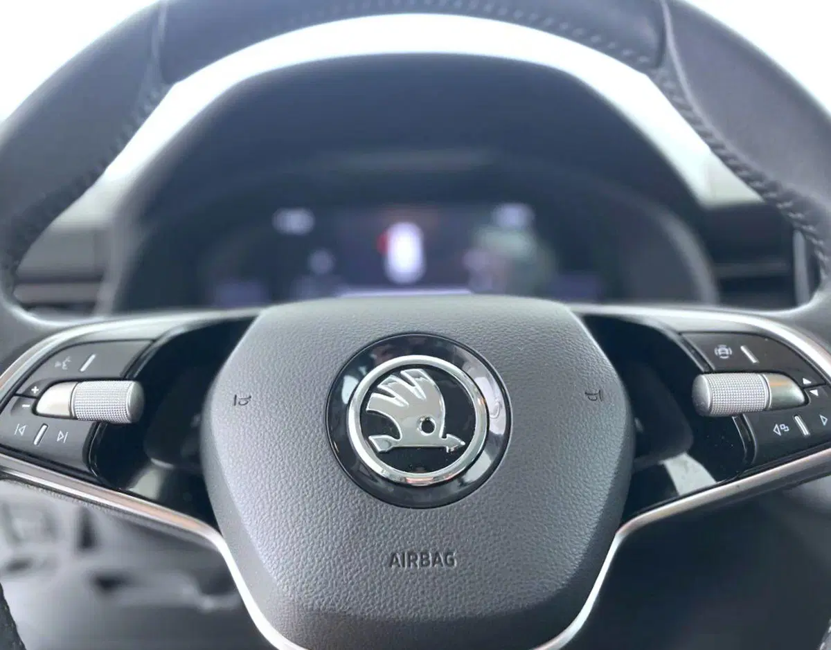 Skoda Kamiq usata a Perugia (17)