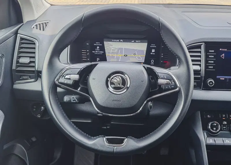 Skoda Karoq usata a Vercelli (15)