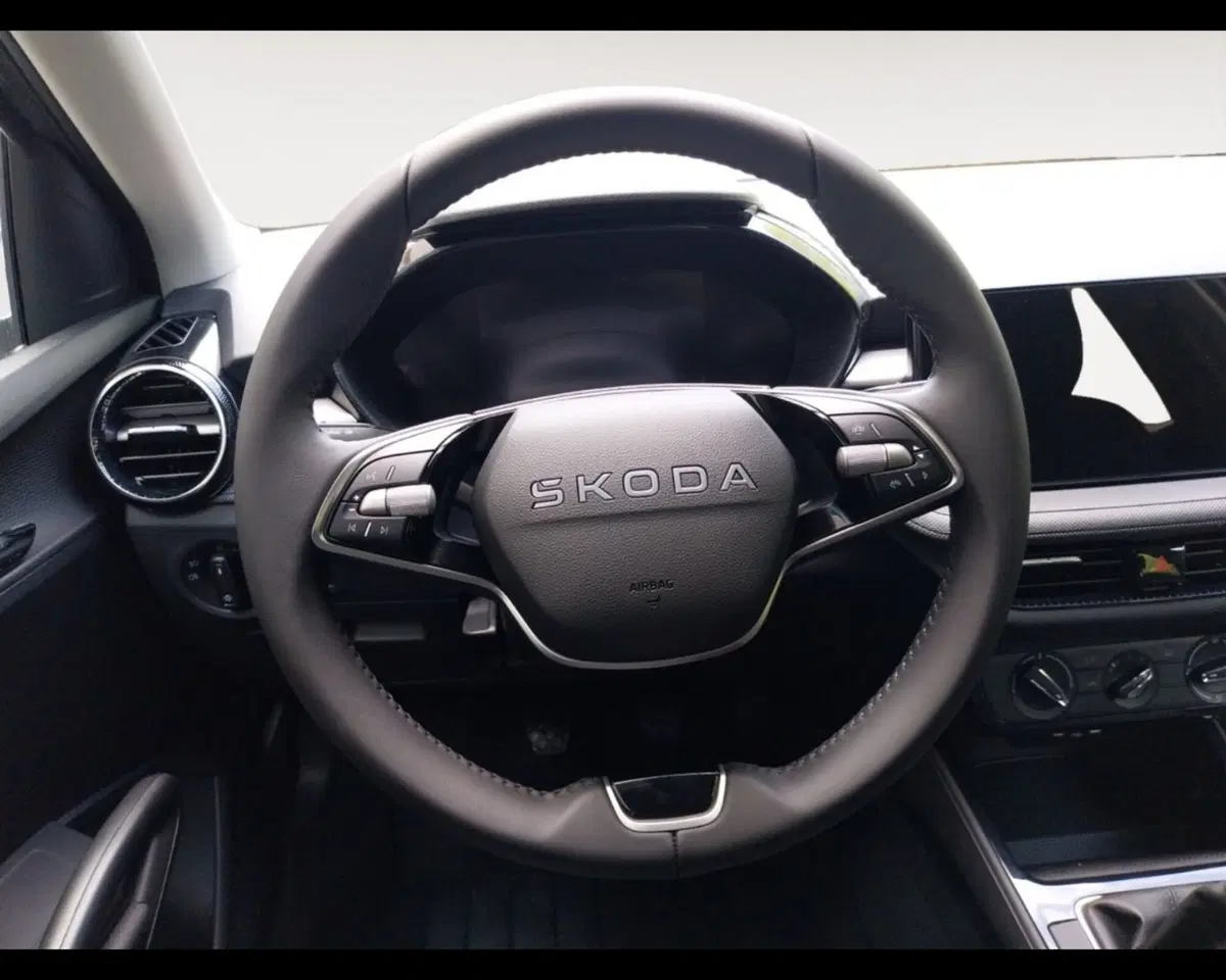 Skoda Fabia usata a Forlì-Cesena (10)
