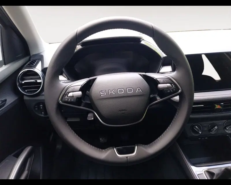 Skoda Fabia usata a Forlì-Cesena (10)