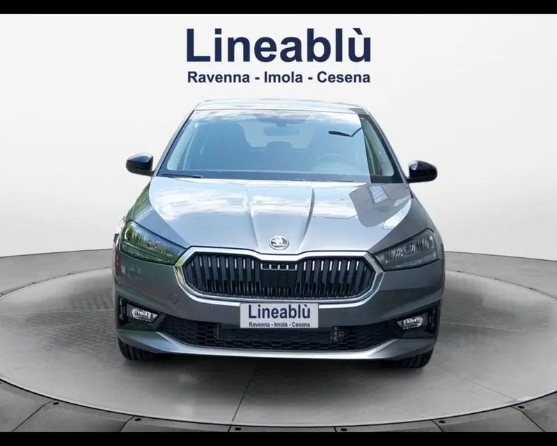 Skoda Fabia usata a Forlì-Cesena (2)