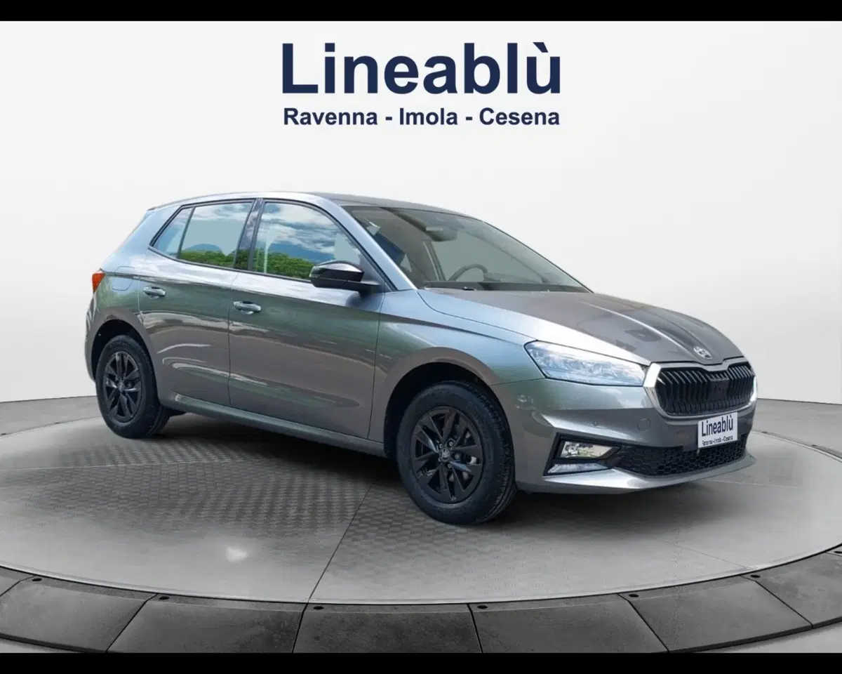 Skoda Fabia usata a Forlì-Cesena (3)