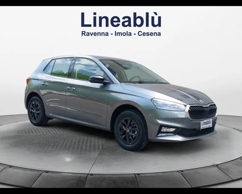 Skoda Fabia usata a Forlì-Cesena (3)