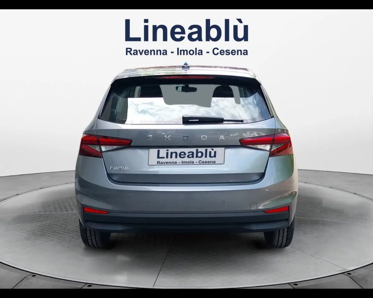 Skoda Fabia usata a Forlì-Cesena (5)