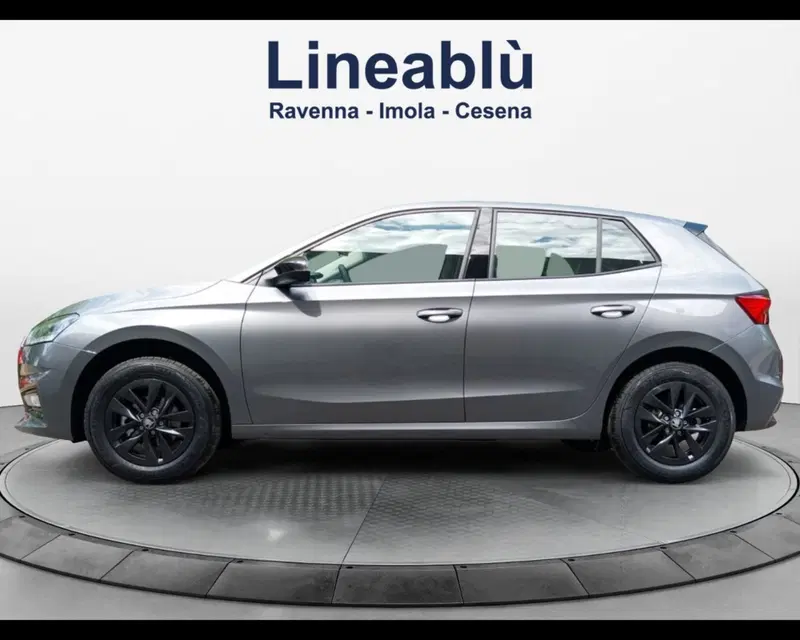 Skoda Fabia usata a Forlì-Cesena (8)