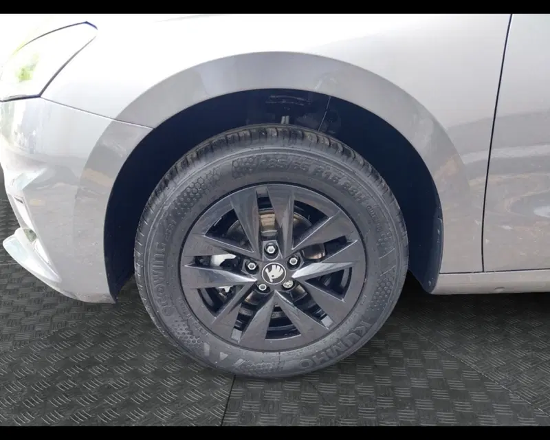 Skoda Fabia usata a Forlì-Cesena (9)