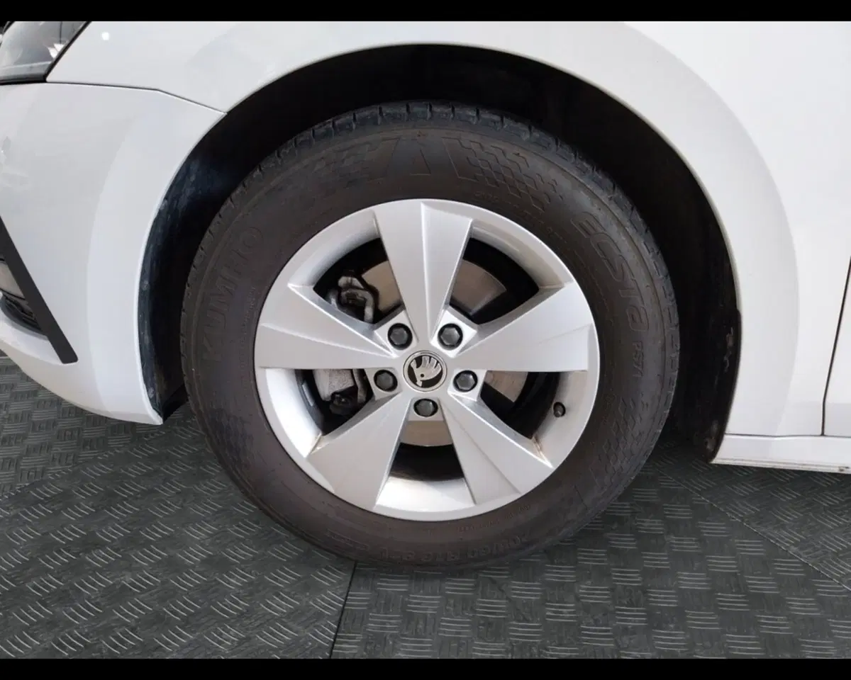 Skoda Octavia Station Wagon usata a Forlì-Cesena (13)