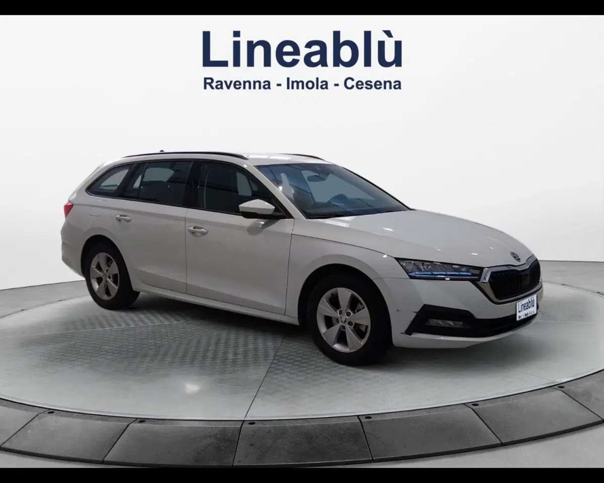 Skoda Octavia Station Wagon usata a Forlì-Cesena (7)