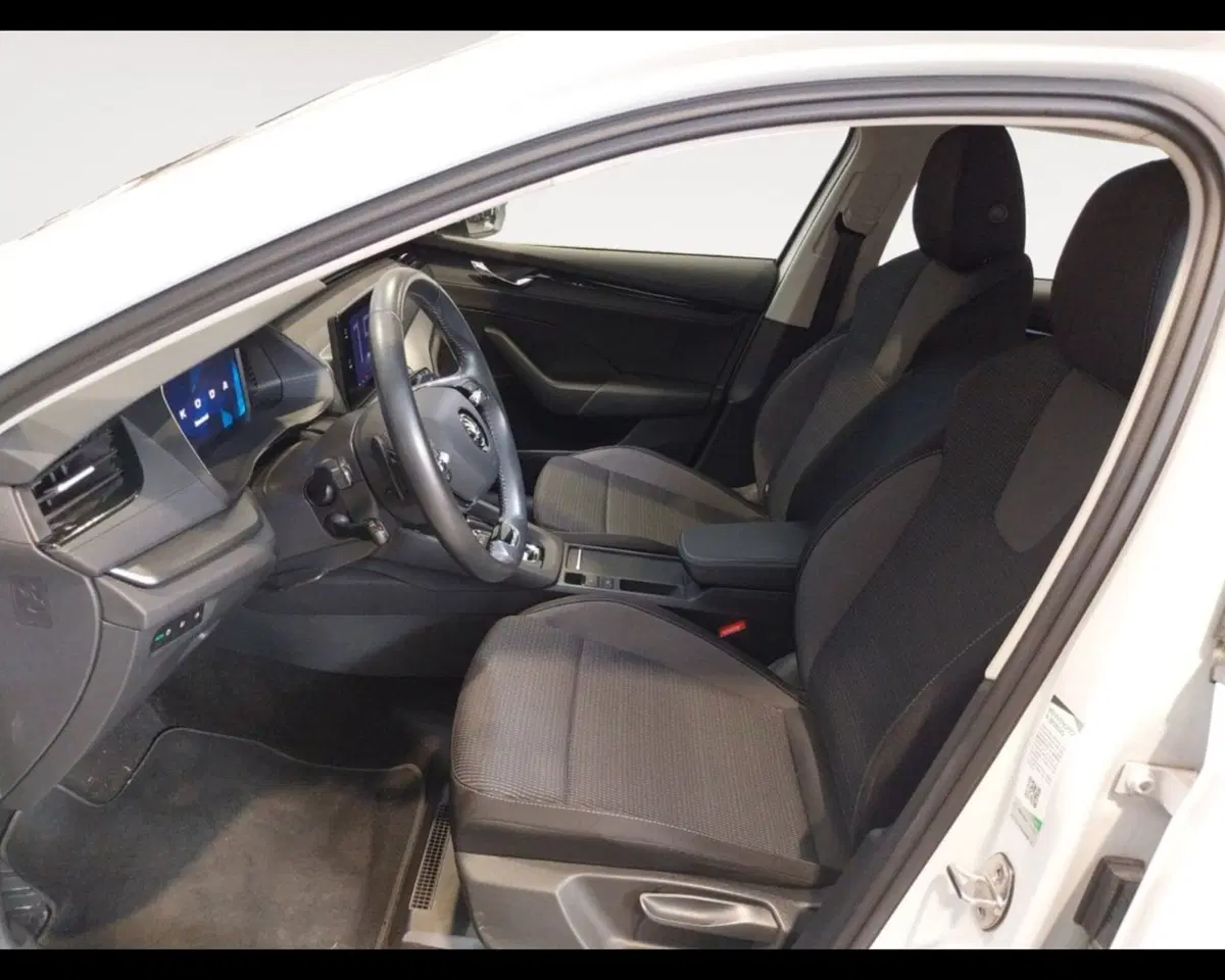 Skoda Octavia Station Wagon usata a Forlì-Cesena (9)