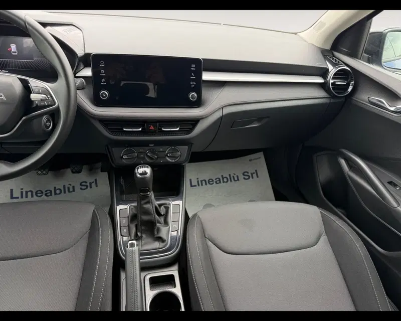 Skoda Fabia usata a Forlì-Cesena (11)