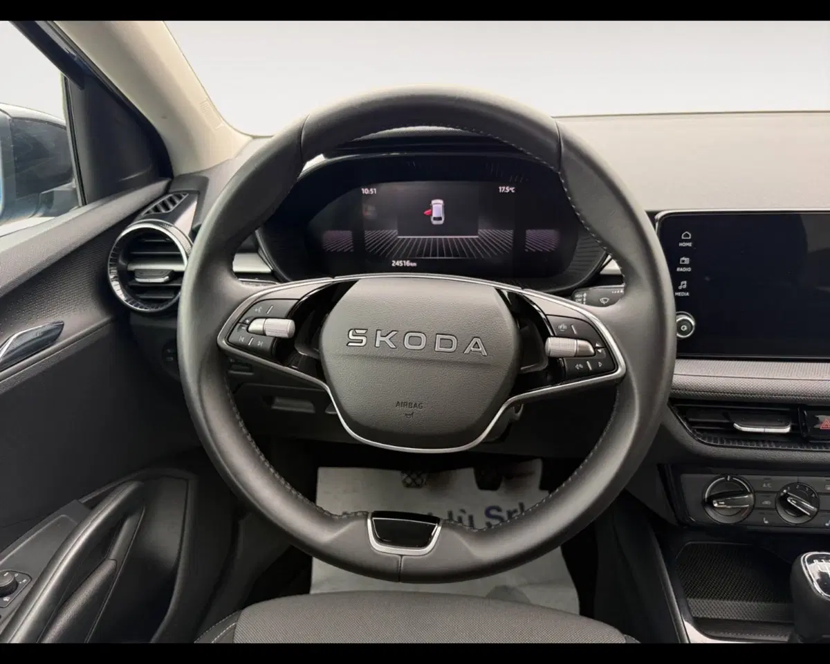 Skoda Fabia usata a Forlì-Cesena (12)