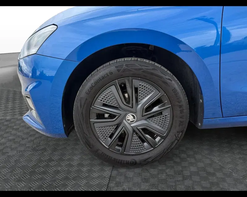 Skoda Fabia usata a Forlì-Cesena (14)