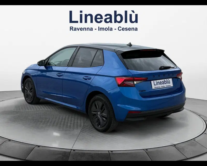 Skoda Fabia usata a Forlì-Cesena (3)