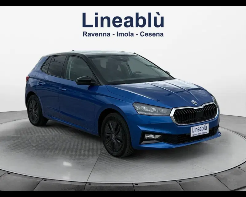 Skoda Fabia usata a Forlì-Cesena (7)