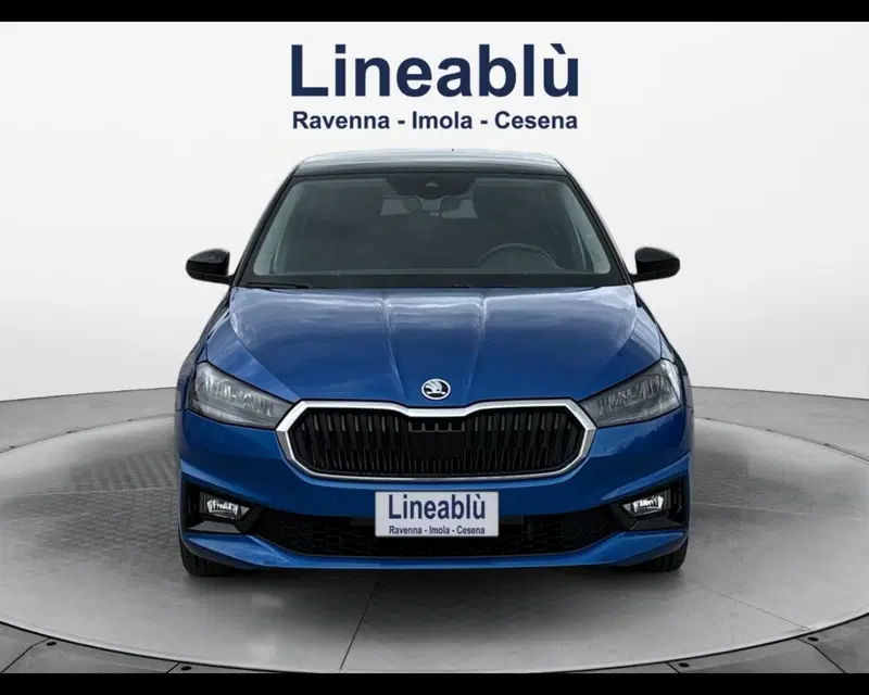 Skoda Fabia usata a Forlì-Cesena (8)
