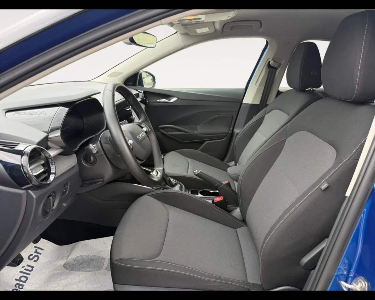 Skoda Fabia usata a Forlì-Cesena (9)