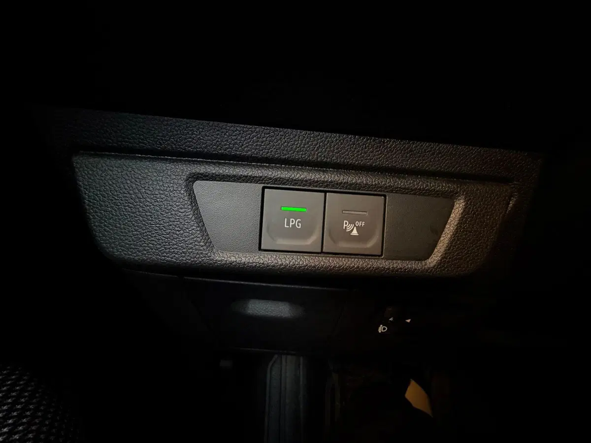 Dacia Sandero usata a Milano (13)