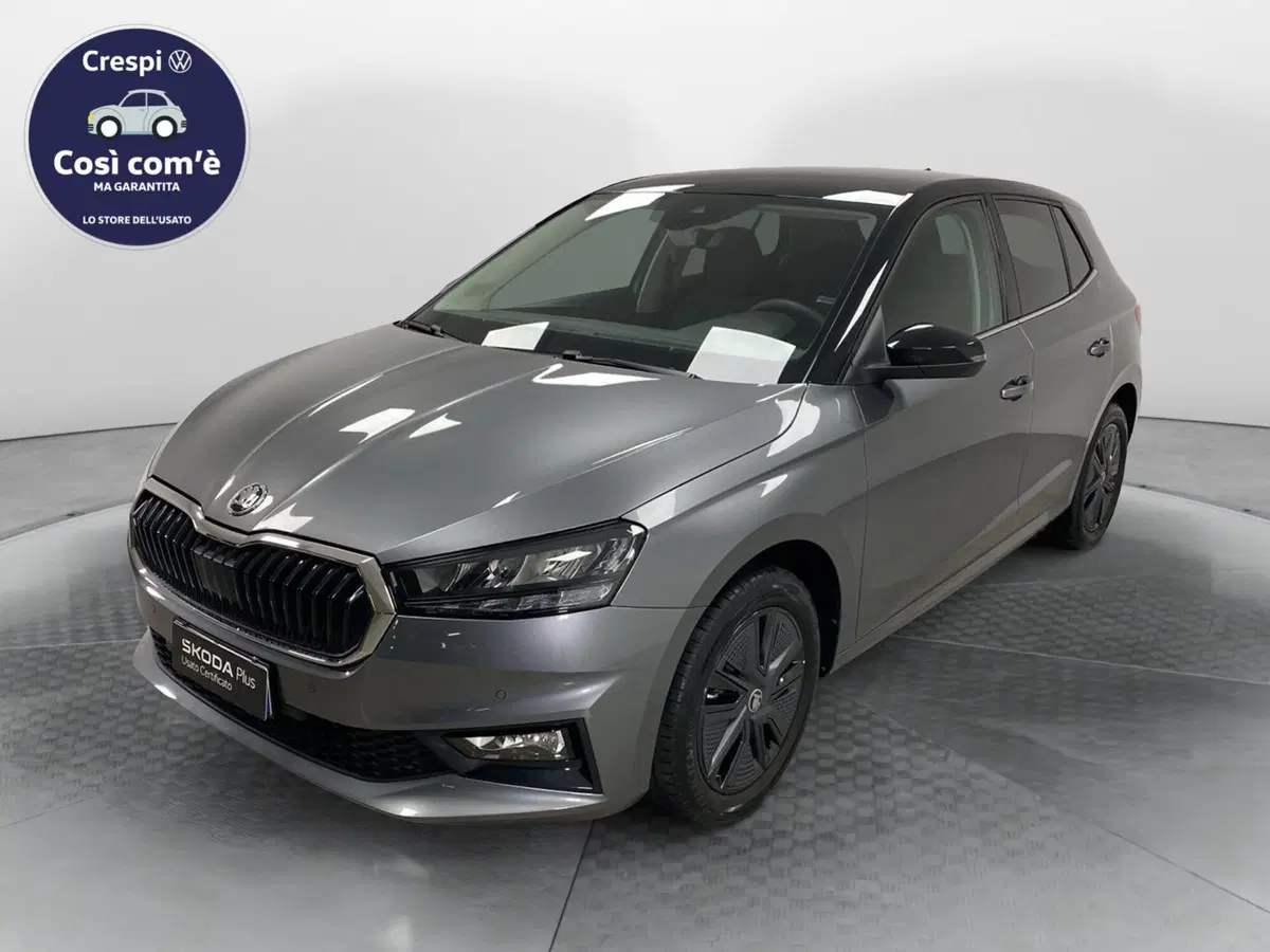 Skoda Fabia usata a Varese