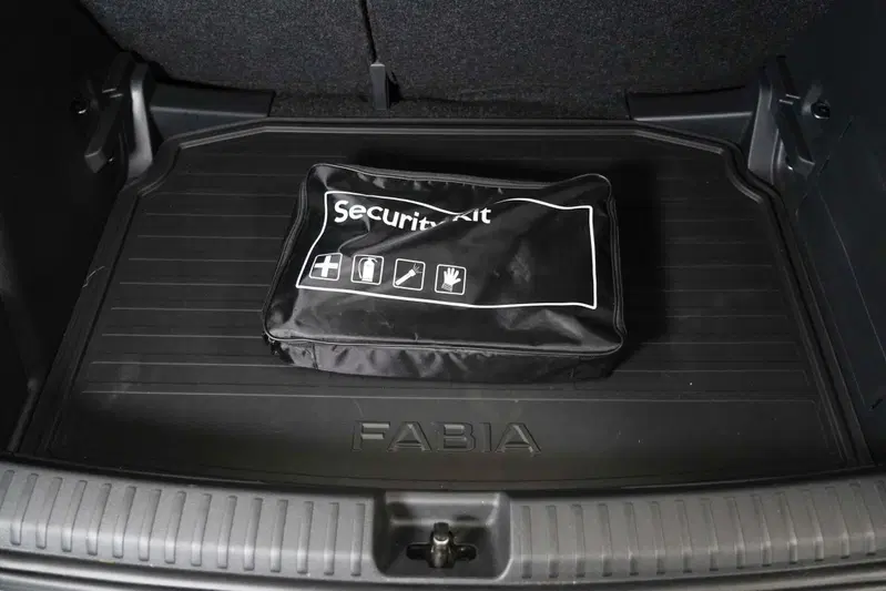 Skoda Fabia usata a Varese (18)