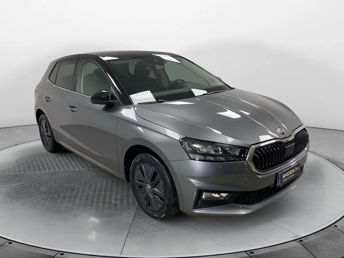 Skoda Fabia usata a Varese (3)