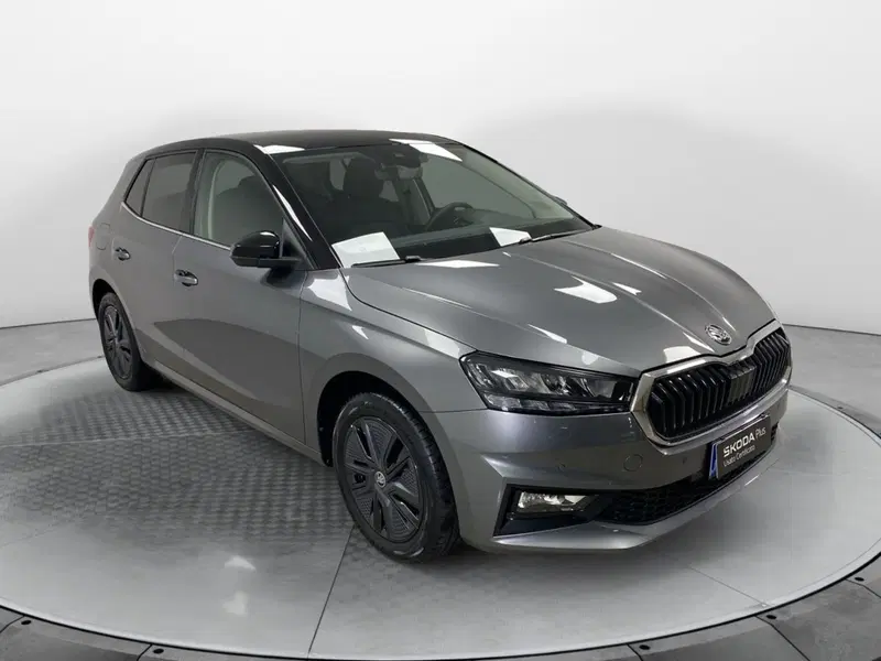 Skoda Fabia usata a Varese (3)