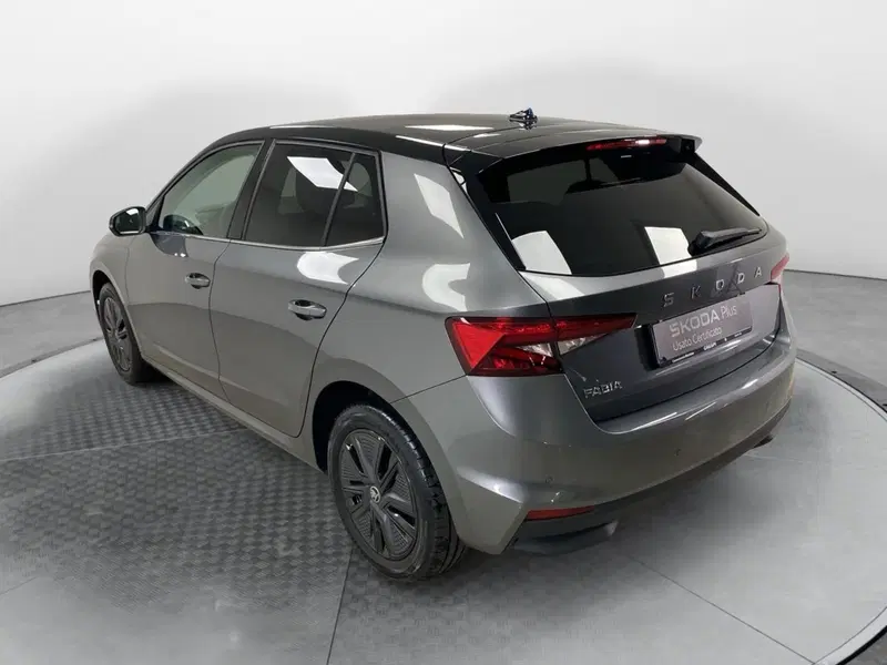 Skoda Fabia usata a Varese (4)