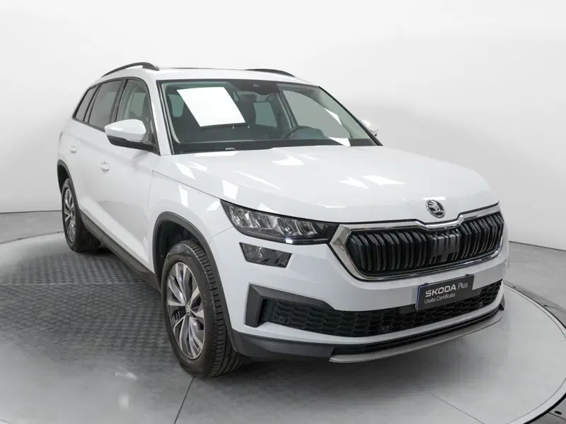 Skoda Kodiaq usata a Varese (3)