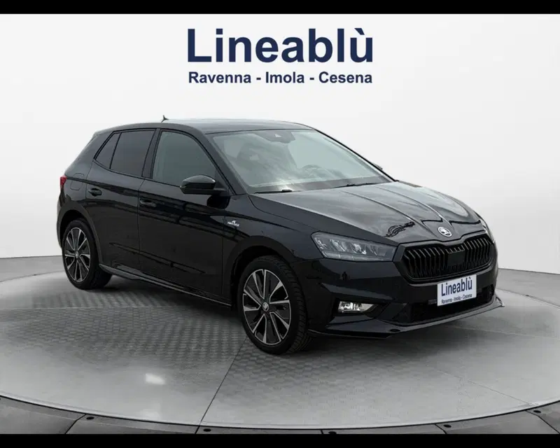 Skoda Fabia usata a Ravenna (7)