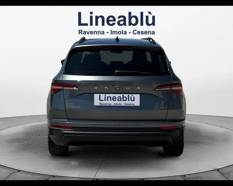 Skoda Karoq usata a Ravenna (4)