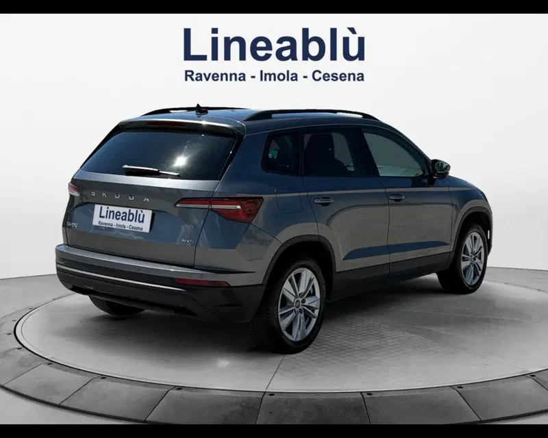 Skoda Karoq usata a Ravenna (5)
