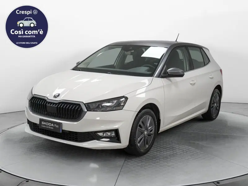 Skoda Fabia usata a Varese