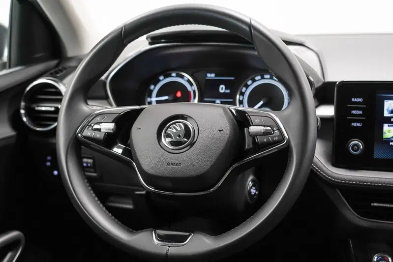 Skoda Fabia usata a Varese (12)