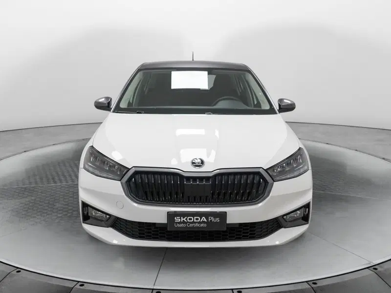 Skoda Fabia usata a Varese (2)